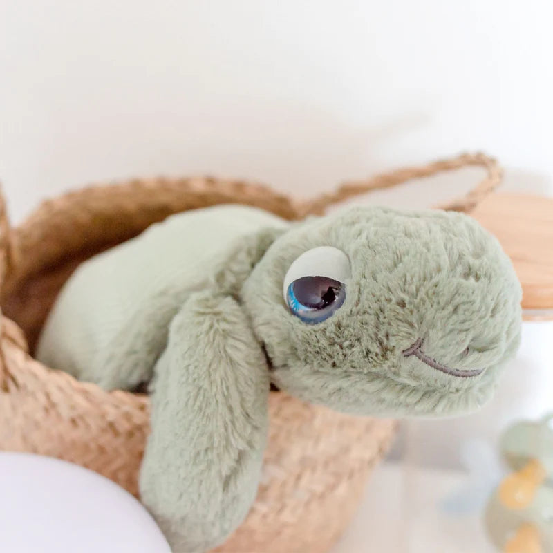 Peluche tortue - sauge